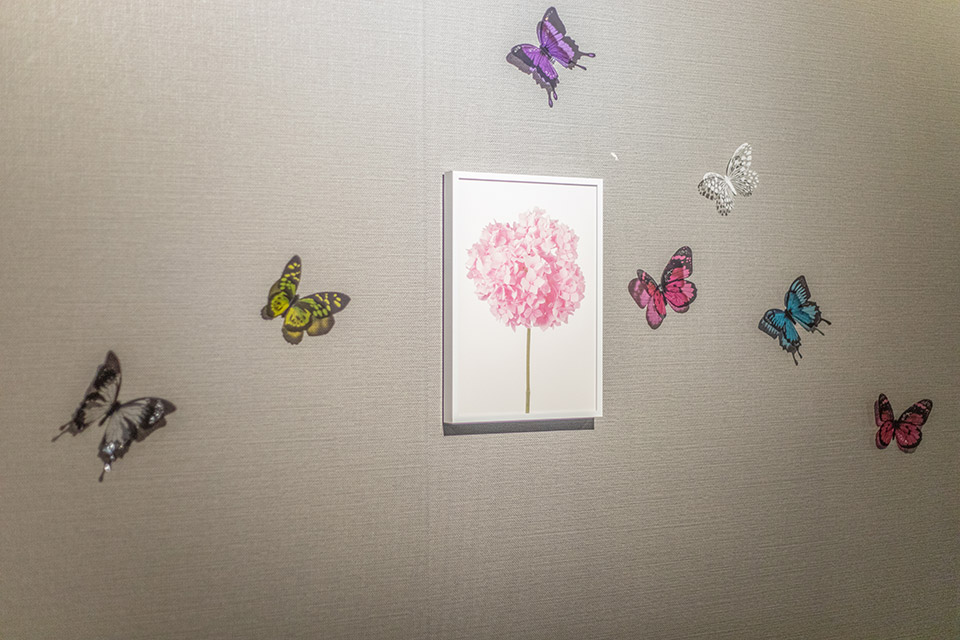 주안동 나비테라피 마사지샵 사진 8