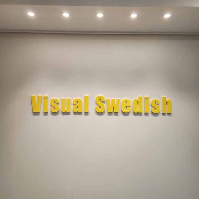 비주얼스웨디시