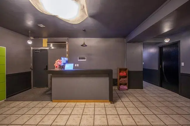 샴푸타이마사지