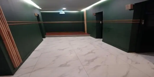 사라있네스웨디시