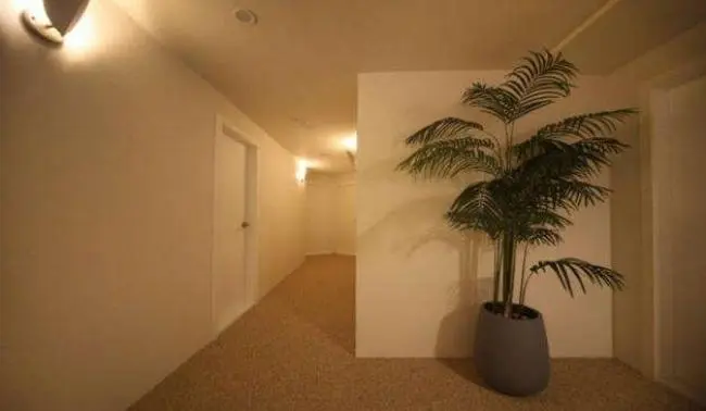 하이엔드스웨디시