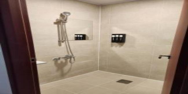 아우라스웨디시