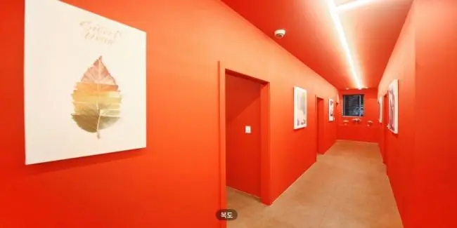 마곡동 로단테 마사지샵 사진 2