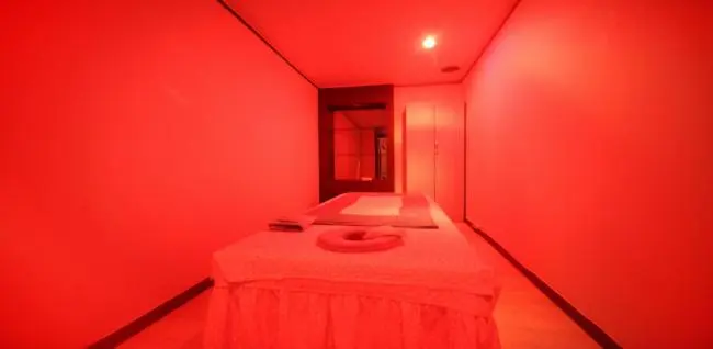 화정동 제인 마사지샵 사진 5