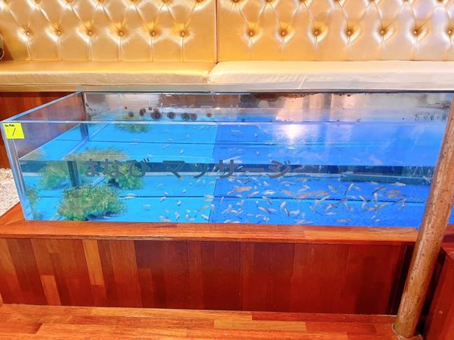 동광동3가 하나비테라피 마사지샵 사진 9