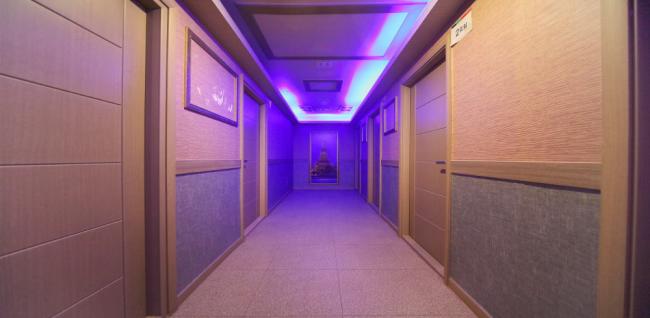 스텔라스웨디시