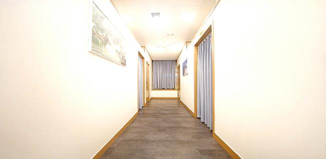 플로라중국전통