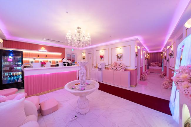 베트남힐링케어 핑크베어