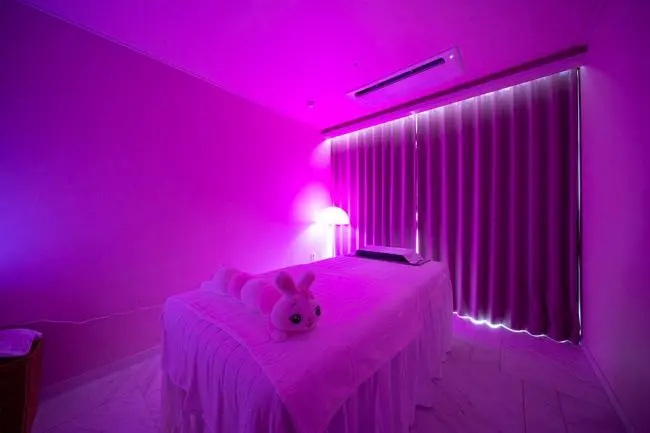 베트남힐링케어 핑크베어