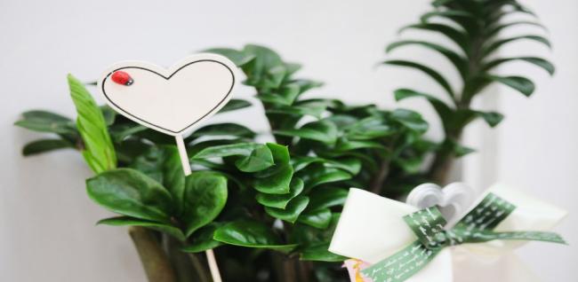 차스힐링마사지