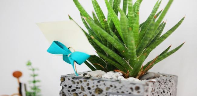 차스힐링마사지