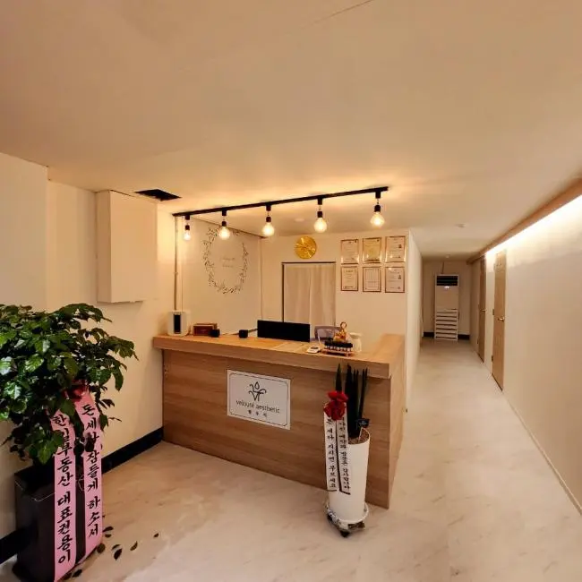 벨루티에스테틱