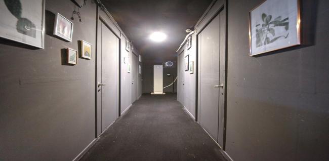 데일리스웨디시