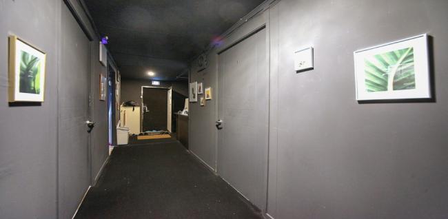 데일리스웨디시