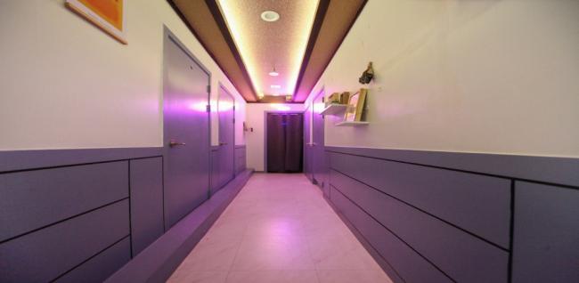 야옹이스웨디시