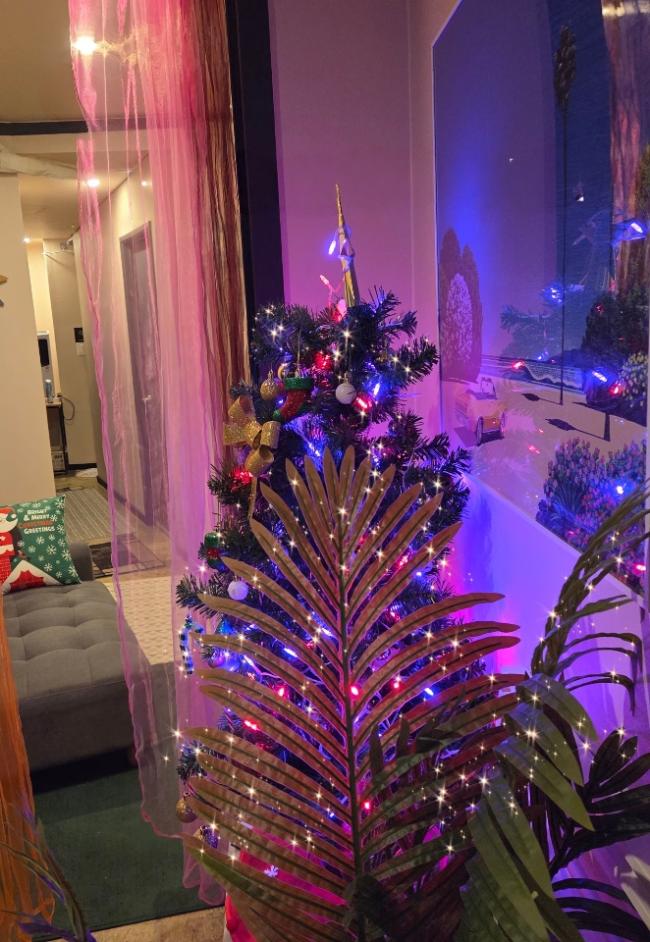 사쿠라스웨디시