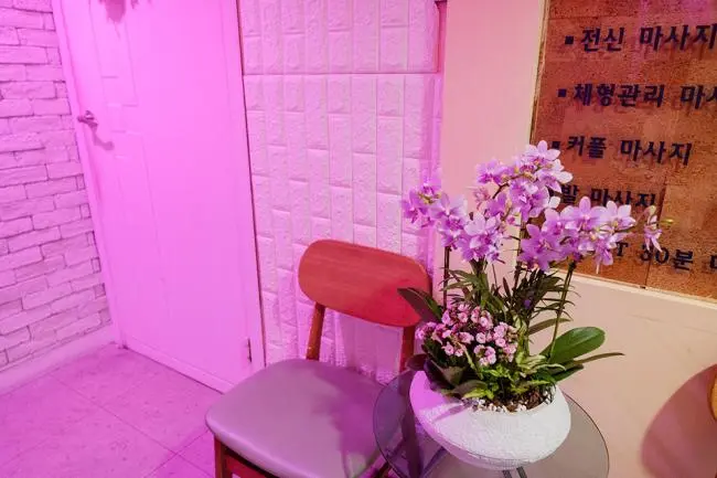 도쿄레저마사지