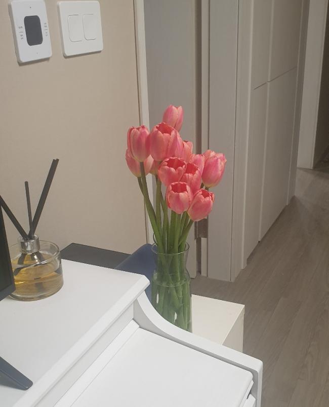 잠실동 1인샵 라울 마사지샵 사진 3