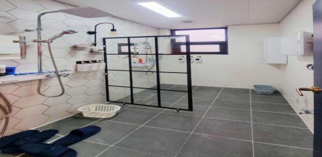 선셋타이테라피