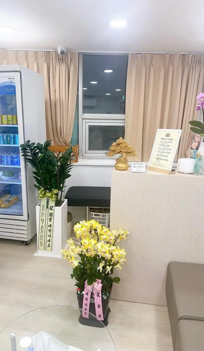 베트남힐링포유