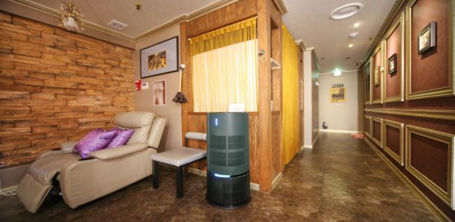 두손모아정성힐링케어