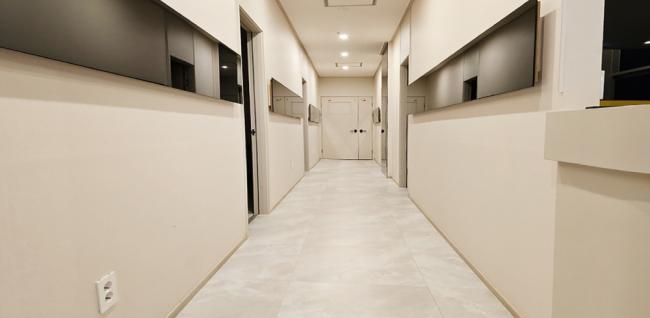 1프로타이아로마