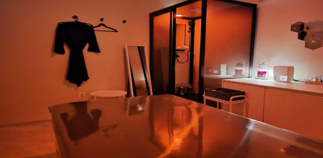 1프로타이아로마