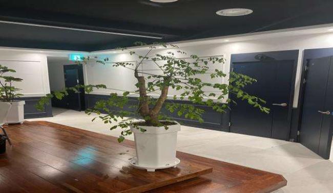 세차장스웨디시