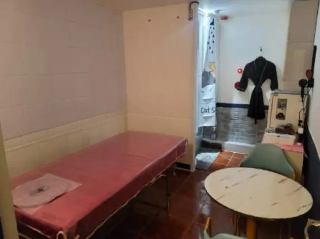 포커스스웨디시