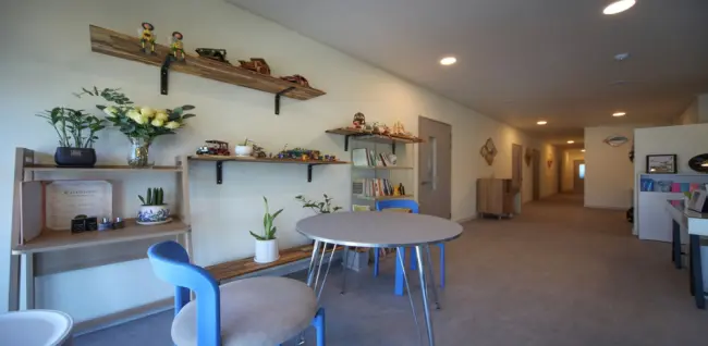 아네도스테라피