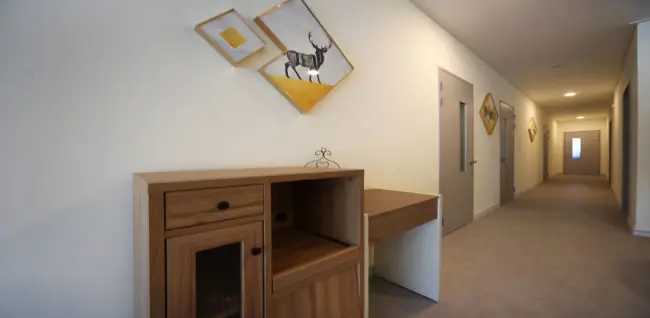 아네도스테라피