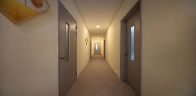 아네도스테라피