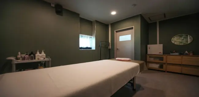 아네도스테라피