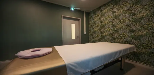 아네도스테라피