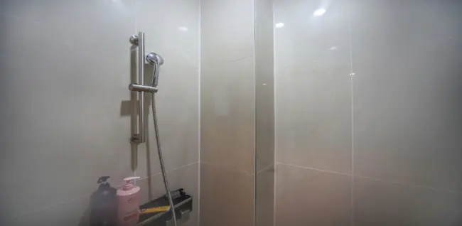 아네도스테라피