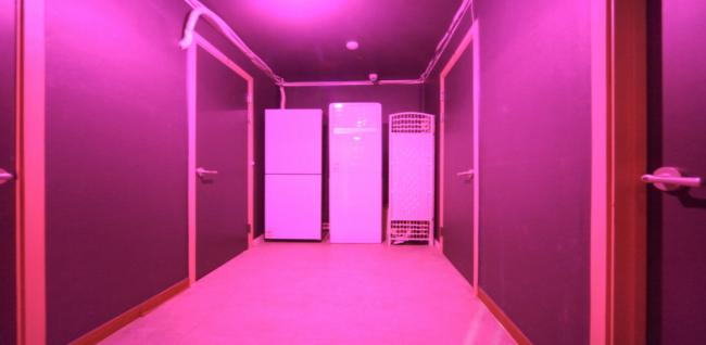 카라태국테라피