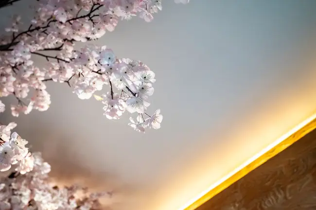 금곡동 케어앤힐링 마사지샵 사진 3